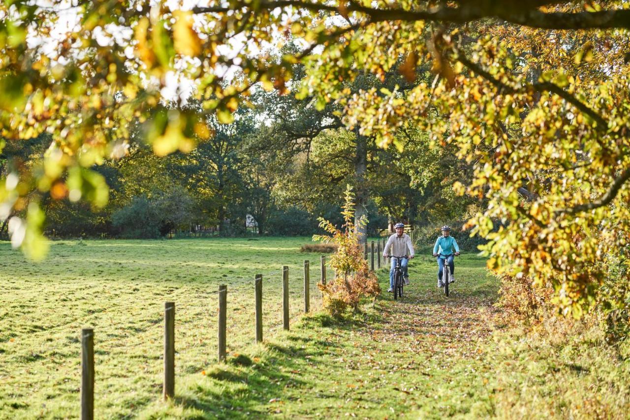 Whitemead Forest Park Ξενοδοχείο Lydney Εξωτερικό φωτογραφία