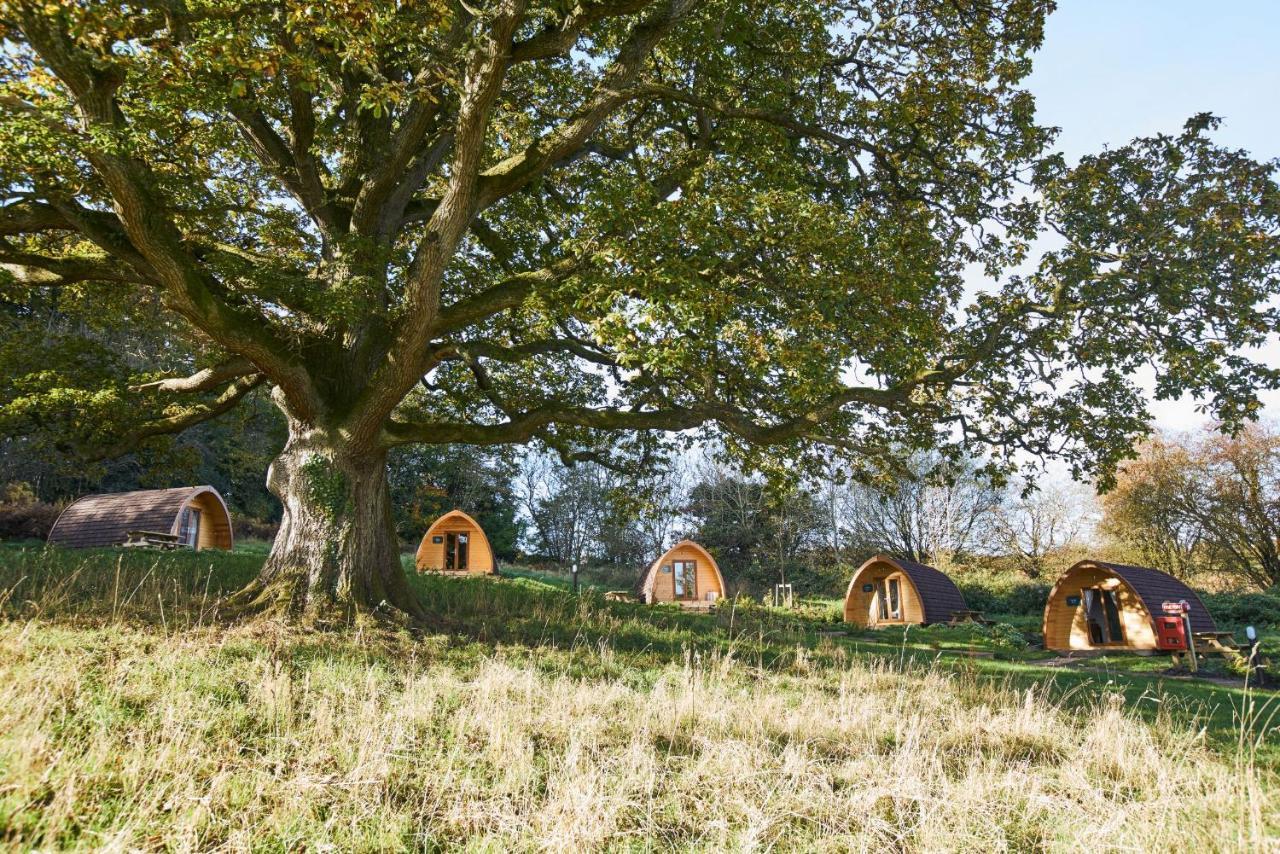 Whitemead Forest Park Ξενοδοχείο Lydney Εξωτερικό φωτογραφία
